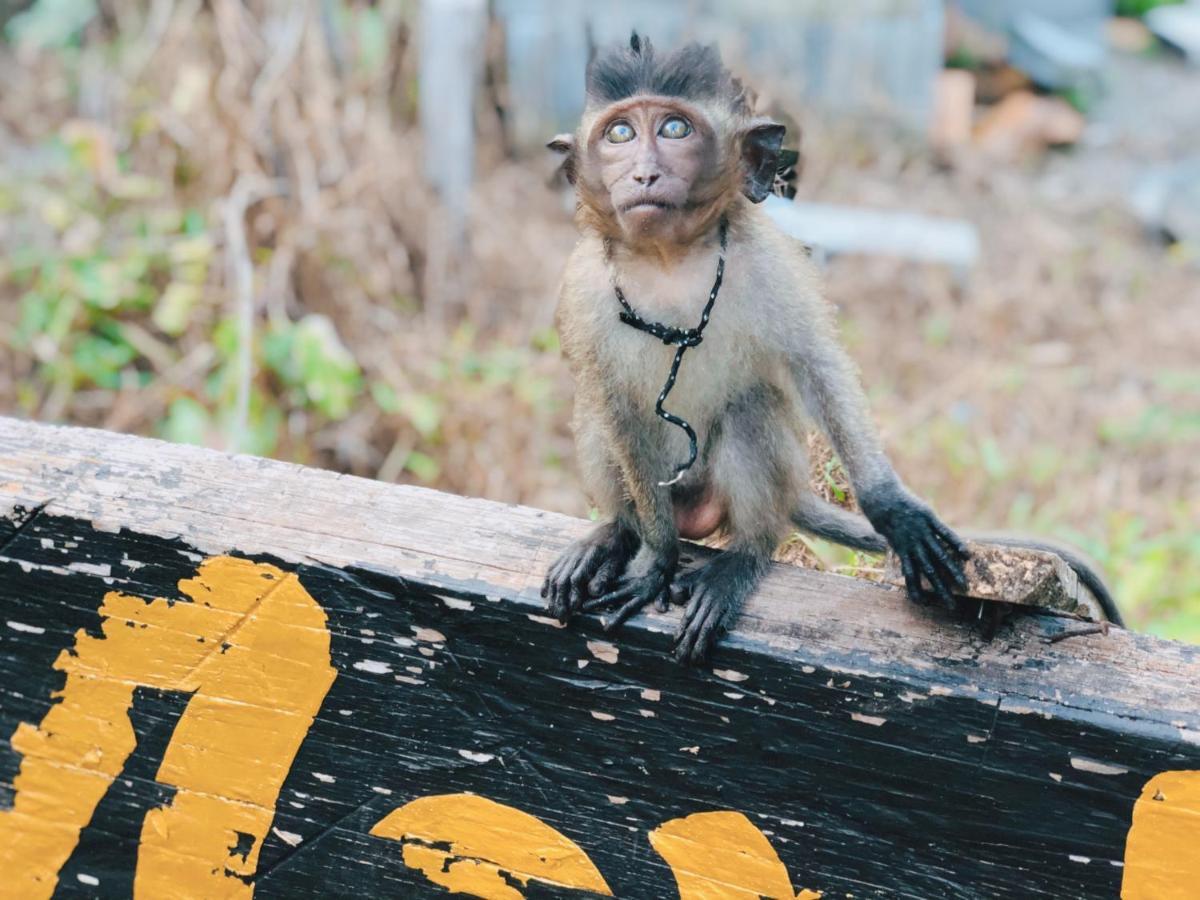 Monkey Bungalow Koh Lanta Ngoại thất bức ảnh