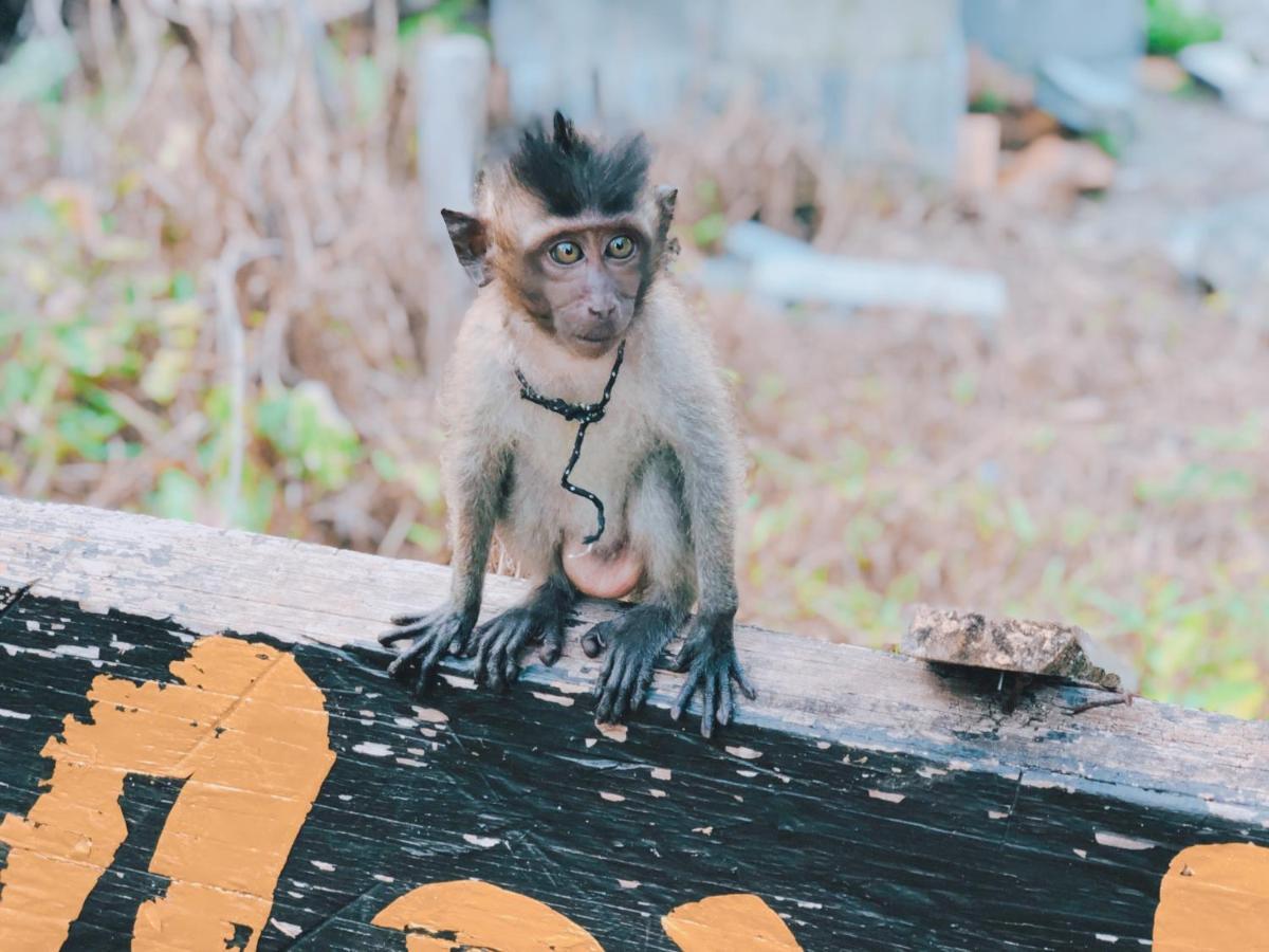 Monkey Bungalow Koh Lanta Ngoại thất bức ảnh